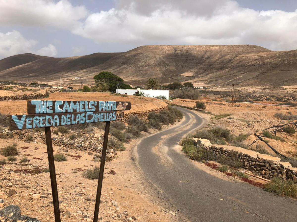 Vereda De Las Camellas Hotel Puerto del Rosario  Luaran gambar